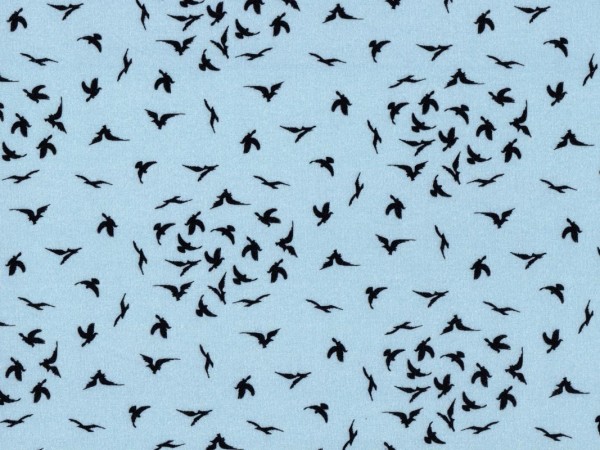 Baumwolljersey Vögel Hellblau - Avalana