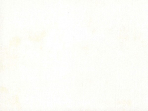 Baumwollstoff Grunge Basics Composition White